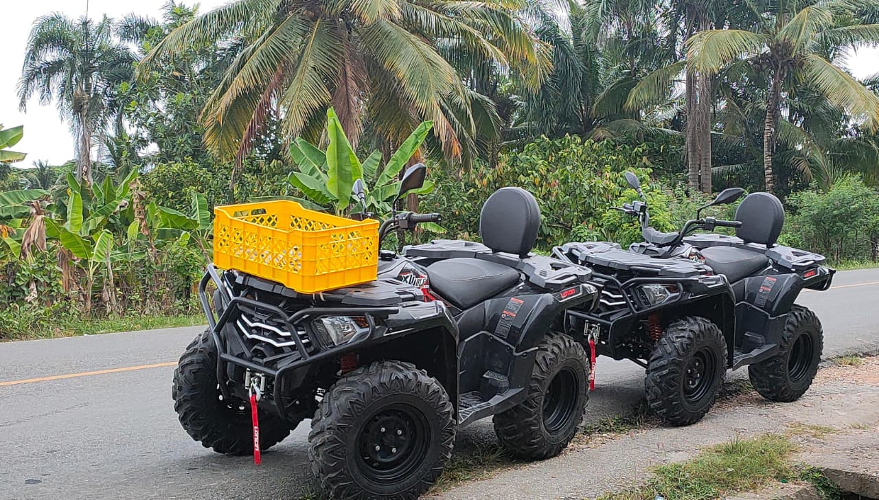 Fourwheel Locin 300cc